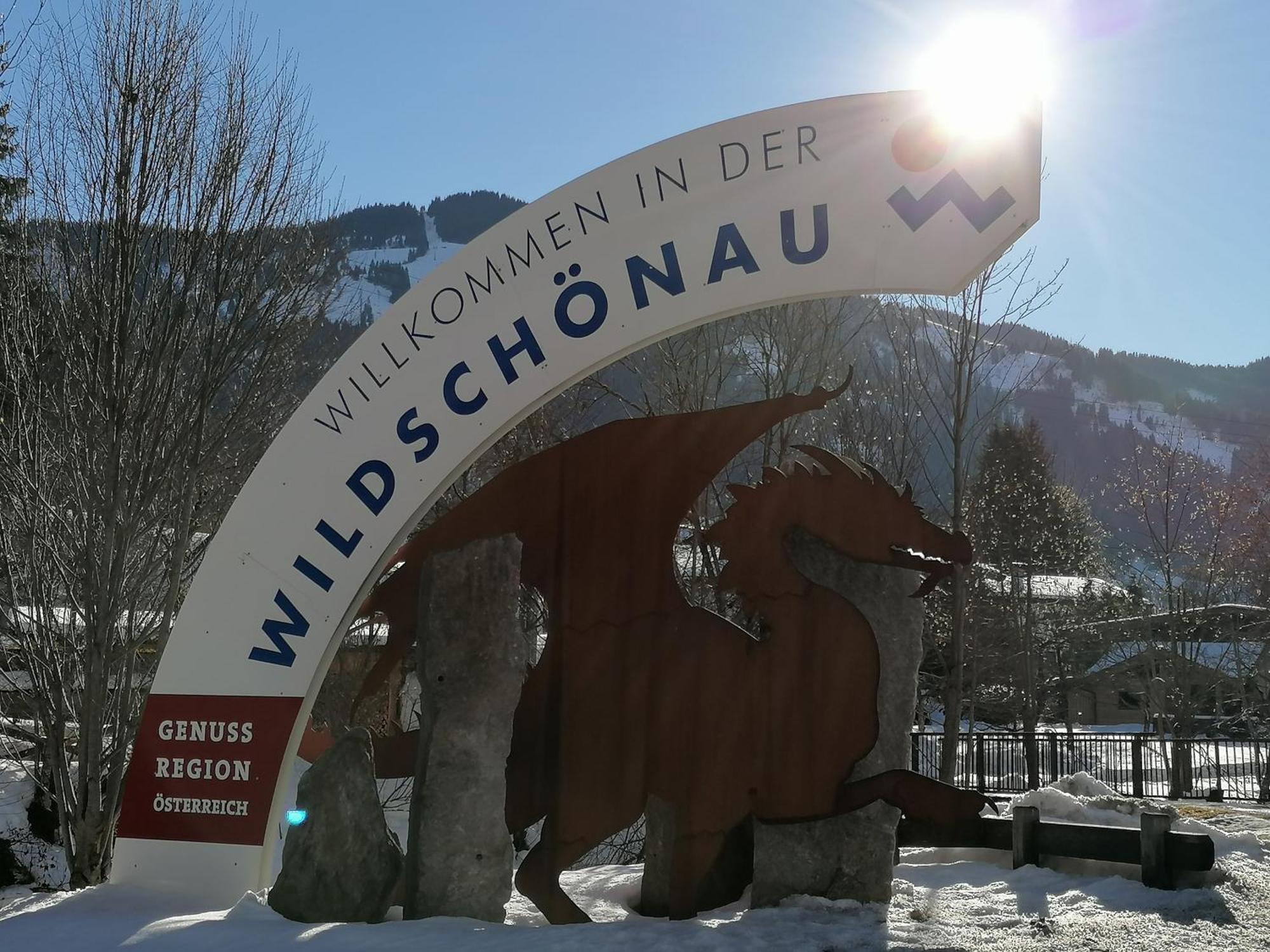 Wimmers Hundsegghof Wild001 Niederau Buitenkant foto